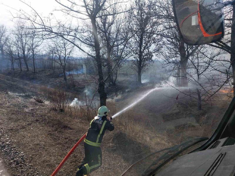 17 пожеж на площі 7 га за добу: на Кіровоградщині закликали зупинити паліїв трави. ФОТО