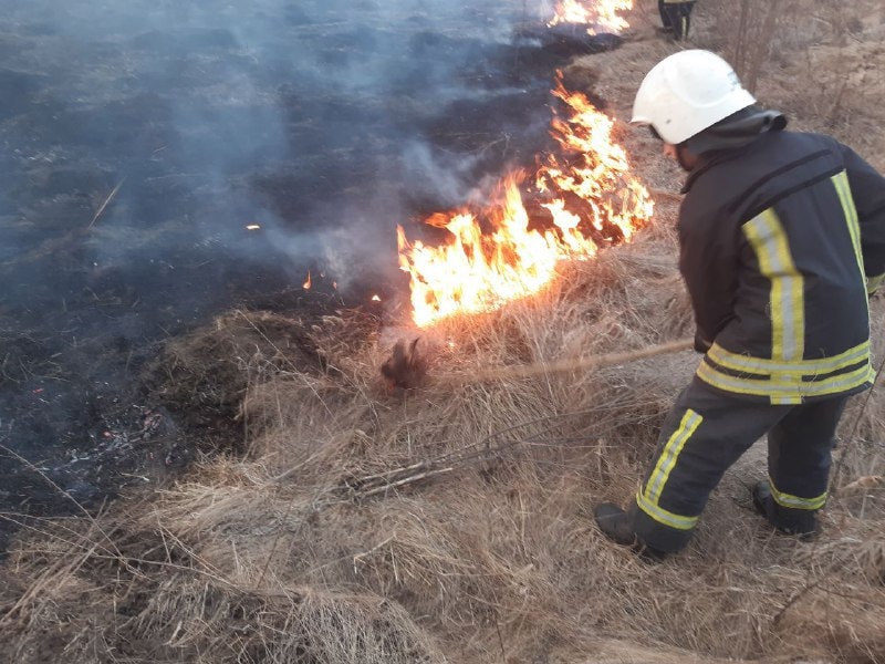 17 пожеж на площі 7 га за добу: на Кіровоградщині закликали зупинити паліїв трави. ФОТО