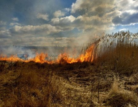 17 пожеж на площі 7 га за добу: на Кіровоградщині закликали зупинити паліїв трави. ФОТО