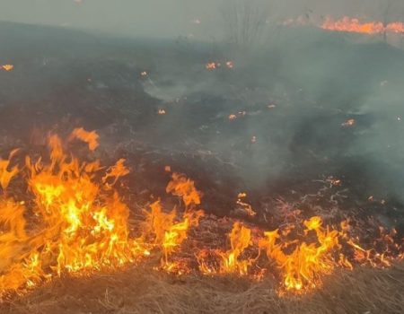 На Кіровоградщині під час пожежі загинула людина і згоріло 12 гектарів сухостою