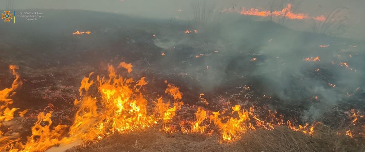 На Кіровоградщині під час пожежі загинула людина і згоріло 12 гектарів сухостою