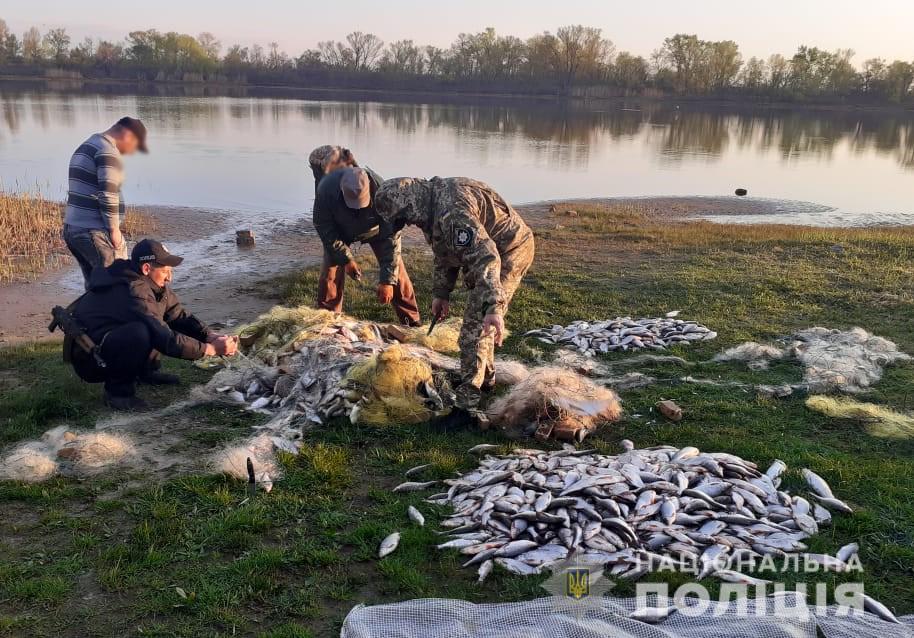 На Кіровоградщині вилучили незаконно виловленої риби на 4 млн гривень. ФОТО