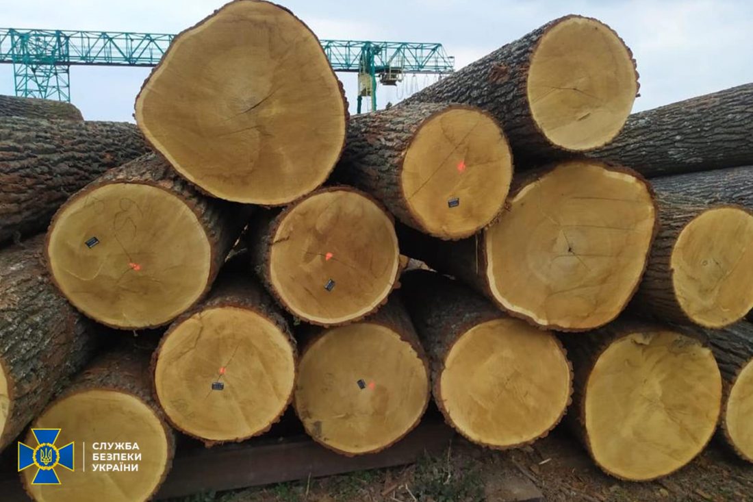 СБУ заявила про ліквідацію на Кіровоградщині схеми експорту лісу через підсанкційні компанії Фірташа