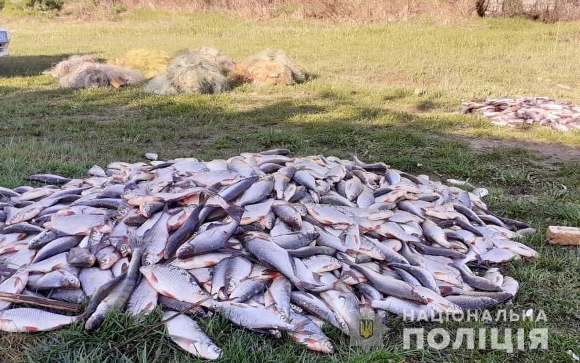 На Кіровоградщині вилучили незаконно виловленої риби на 4 млн гривень. ФОТО
