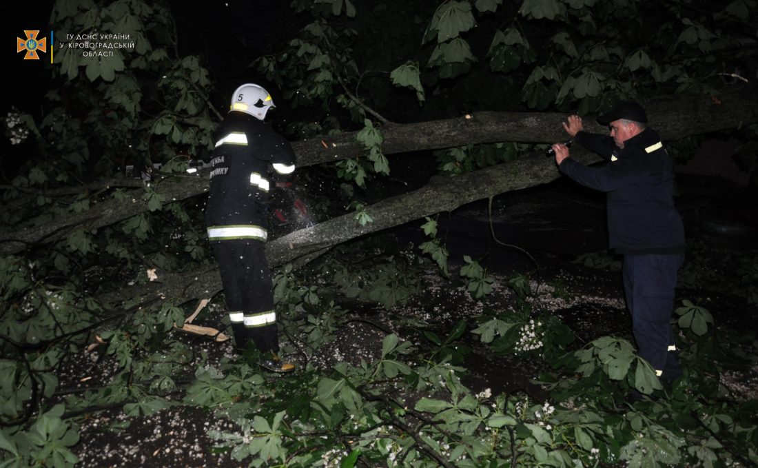 Шквал, що пронісся Кропивницьким і в районі, звалив 22 дерева &#8211; пошкоджені ЛЕП, будинки й авто. ФОТО
