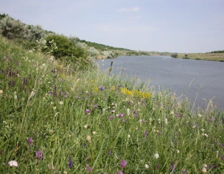 На Кіровоградщині створили вісім нових заповідних об’єктів місцевого значення