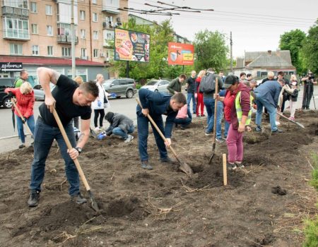 У Кропивницькому квітнутимуть троянди з Покровська Донецької області. ФОТО