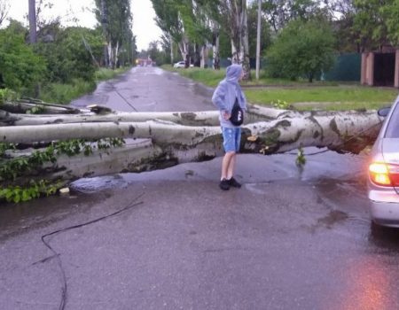 Знеструмлені мікрорайони і насосна станція, звалені дерева і білборди – наслідки стихії в Кропивницькому. ФОТО