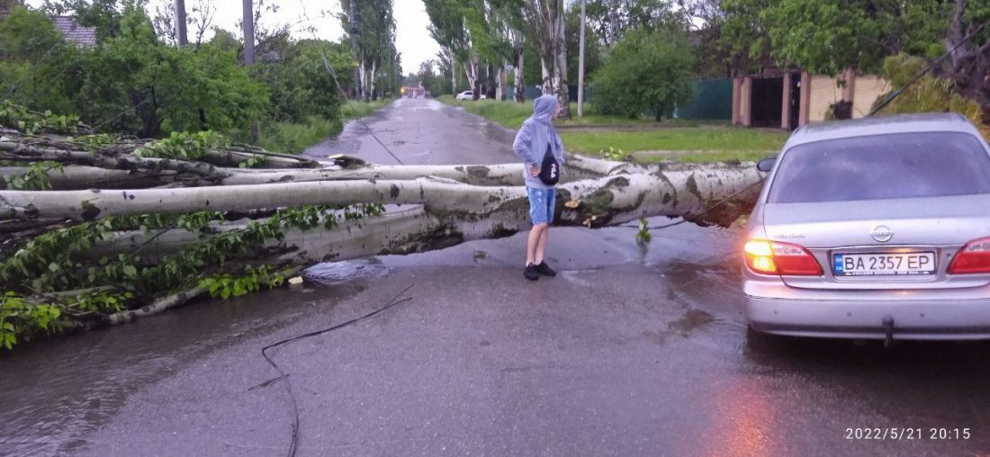 Знеструмлені мікрорайони і насосна станція, звалені дерева і білборди &#8211; наслідки стихії в Кропивницькому. ФОТО