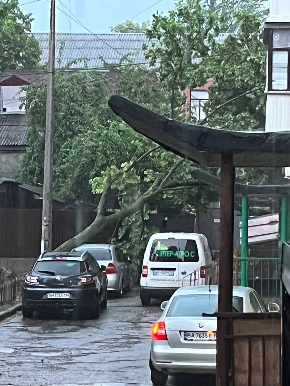 Знеструмлені мікрорайони і насосна станція, звалені дерева і білборди &#8211; наслідки стихії в Кропивницькому. ФОТО