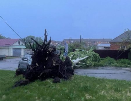 Шквал, що пронісся Кропивницьким і в районі, звалив 22 дерева – пошкоджені ЛЕП, будинки й авто. ФОТО