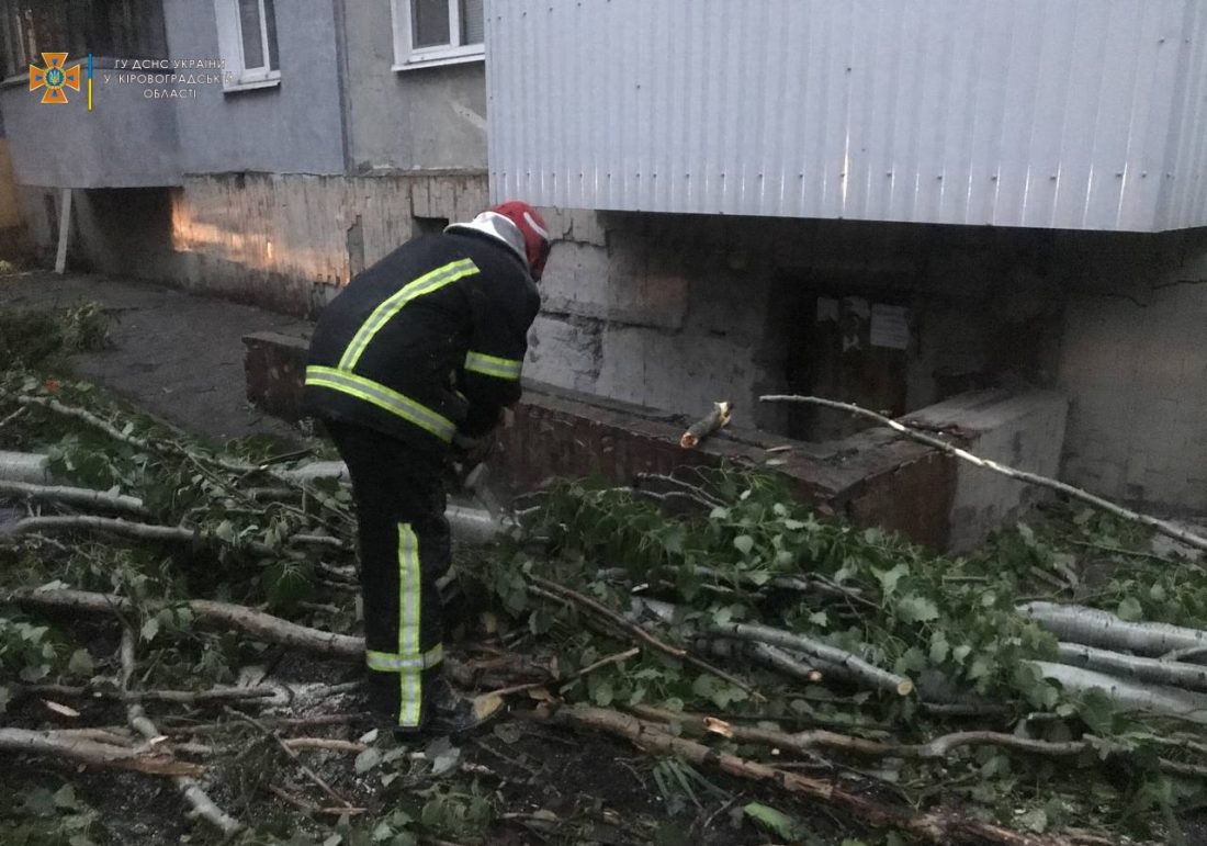 Шквал, що пронісся Кропивницьким і в районі, звалив 22 дерева &#8211; пошкоджені ЛЕП, будинки й авто. ФОТО