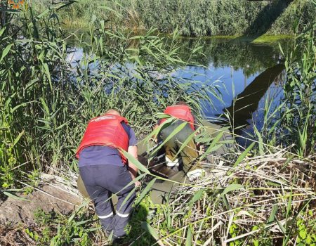 У Новоукраїнці на Кіровоградщині втопився чоловік. ФОТО