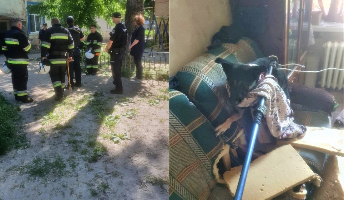 У Кропивницькому врятували зачинену собаку, господині якої немає вже тиждень. ФОТО