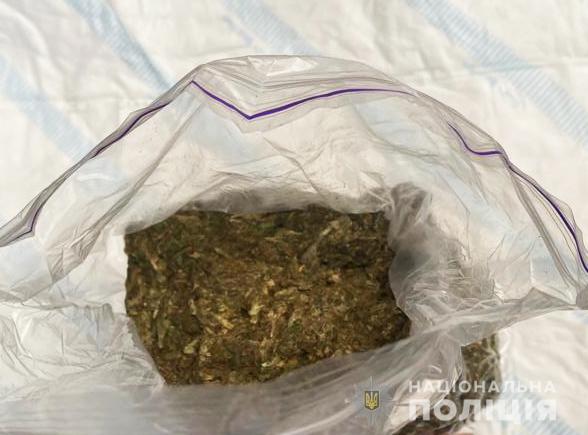 У жителя Кропивницького під час огляду вилучили канабісу на 140 тисяч гривень. ФОТО