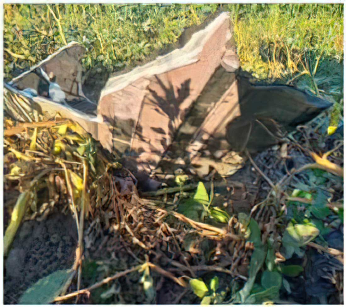 На Кіровоградщині протиповітряна оборона збила ворожу ракету. ФОТО
