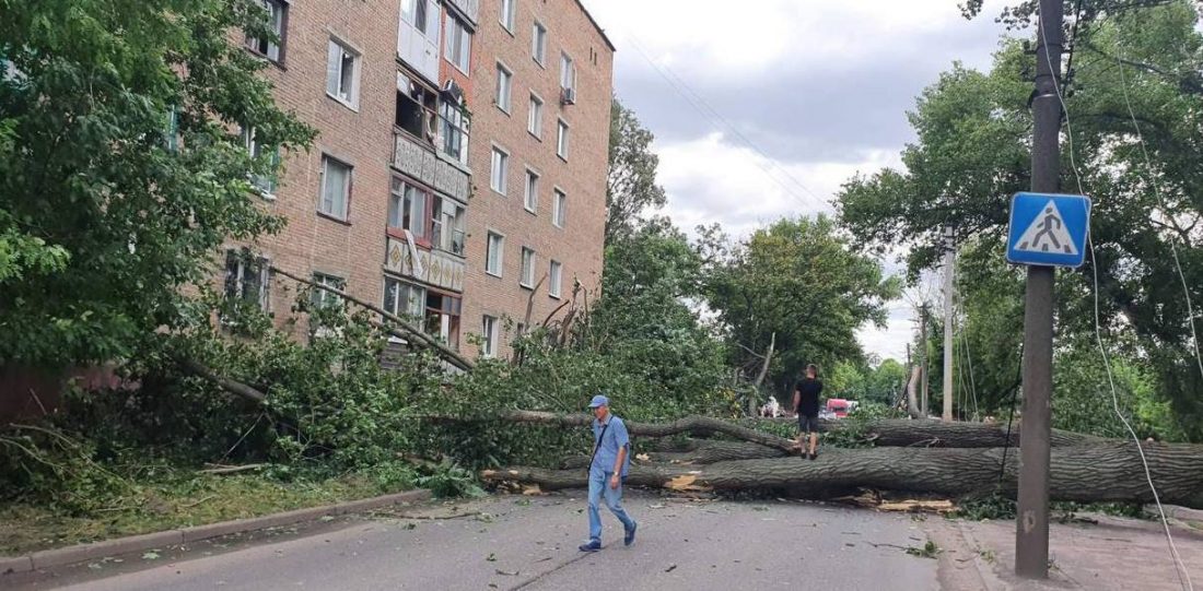 Велетенська тополя впала на багатоквартирний будинок в Олександрії на Кіровоградщині. ФОТО