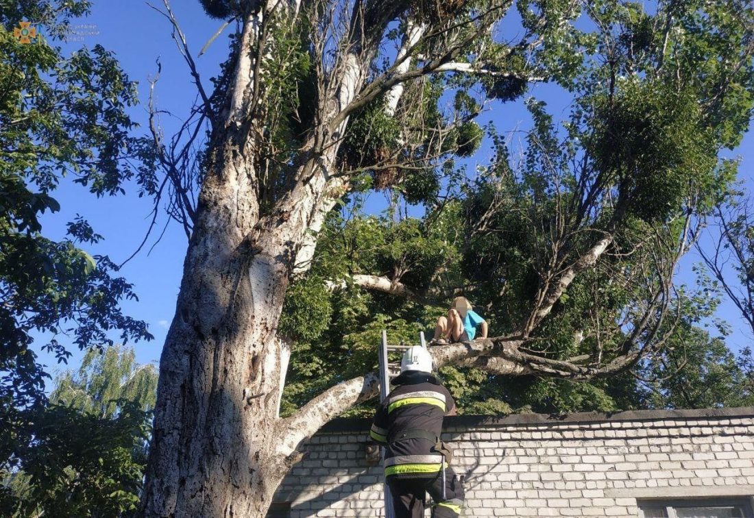 На Кіровоградщині, щоб зняти дитину з дерева, довелося викликати рятувальників. ФОТО