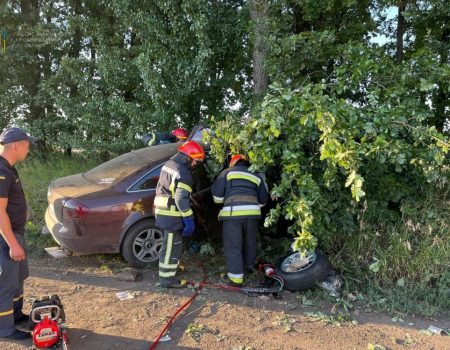 На Кіровоградщині водій 1991 року народження в’їхав у дерево й загинув. ФОТО