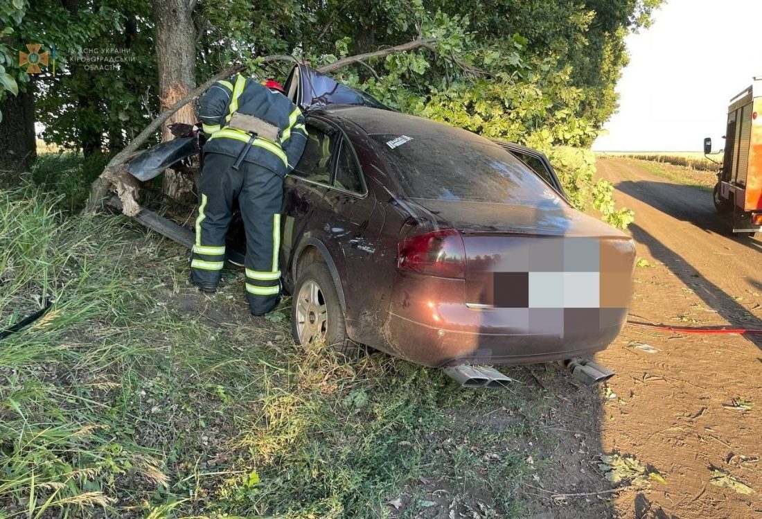 На Кіровоградщині водій 1991 року народження в&#8217;їхав у дерево й загинув. ФОТО