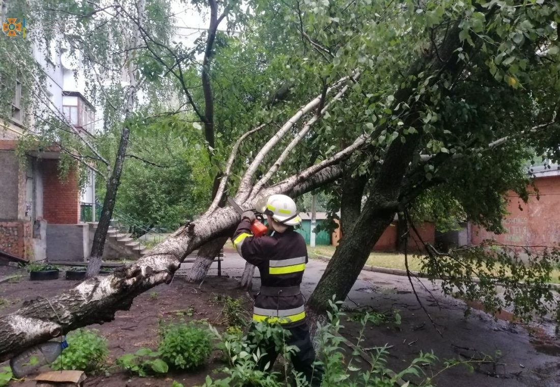 У Кропивницькому вітер звалив дерева на лінії електропередач та газопровід. ФОТО