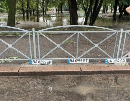 Чи не найбільше скарг на стихію у водіїв, які губили номери, перепливаючи на авто вулиці Кропивницького. ФОТО