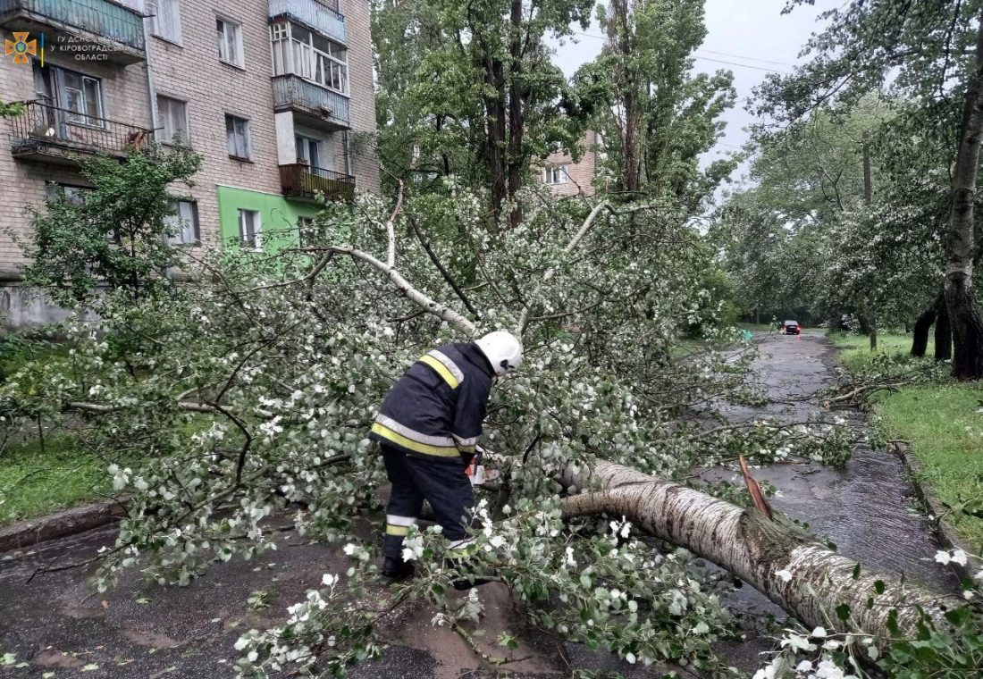У Кропивницькому вітер звалив дерева на лінії електропередач та газопровід. ФОТО