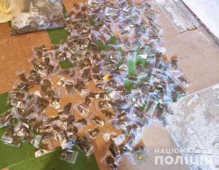 У двох кропивничан вдома знайшли склад інтернет-магазину наркотиків із продукцією на 500 тис. грн. ФОТО