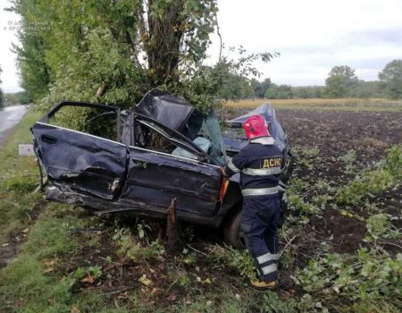 На Кіровоградщині дорожня аварія забрала життя людини. ФОТО