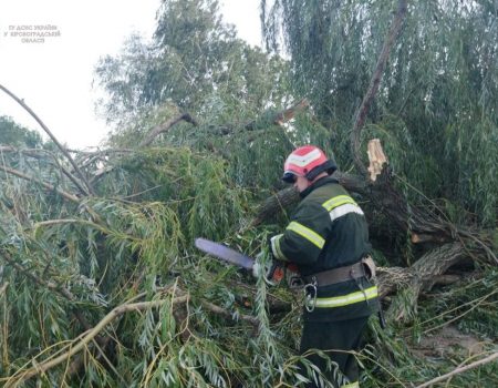 На Кіровоградщині від сильного вітру дерева падали на дороги і на авто. ФОТО