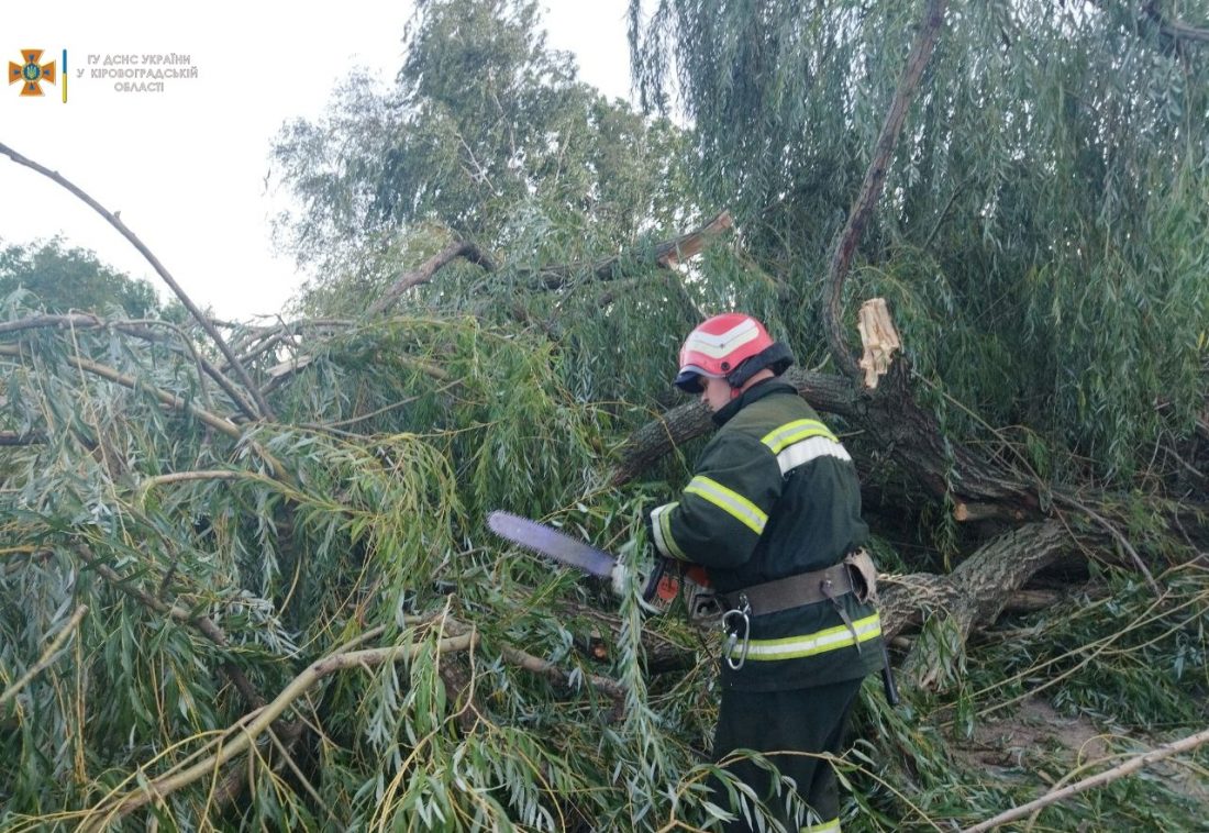 На Кіровоградщині від сильного вітру дерева падали на дороги і на авто. ФОТО