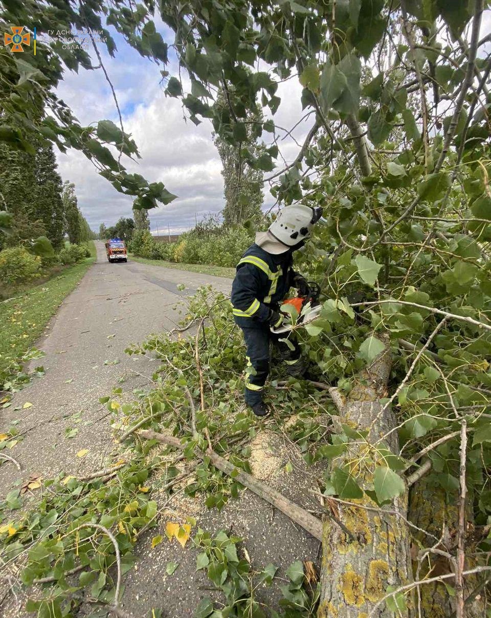 На Кіровоградщині від сильного вітру дерева падали на дороги і на авто. ФОТО