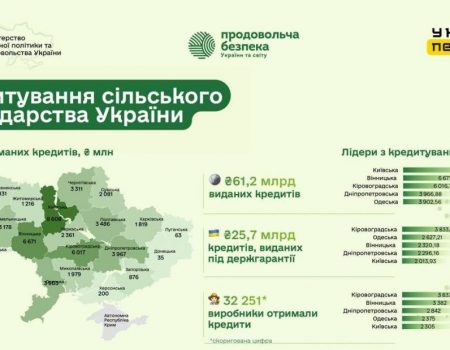 Кіровоградщина у топ-10 регіонів за обсягами кредитування аграрного сектору