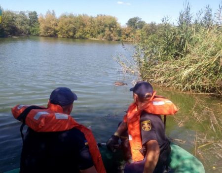 На Кіровоградщині рятувальники дістали зі ставка потопельника