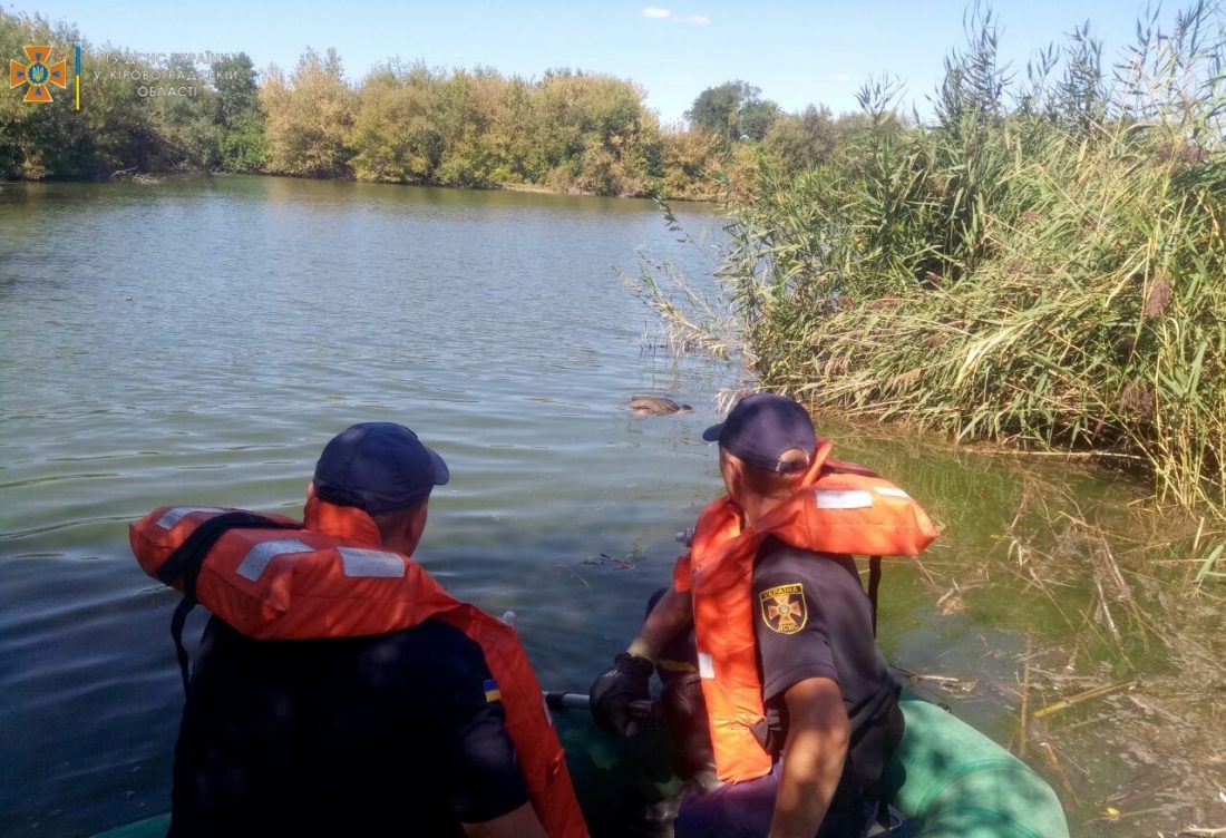 На Кіровоградщині рятувальники дістали зі ставка потопельника