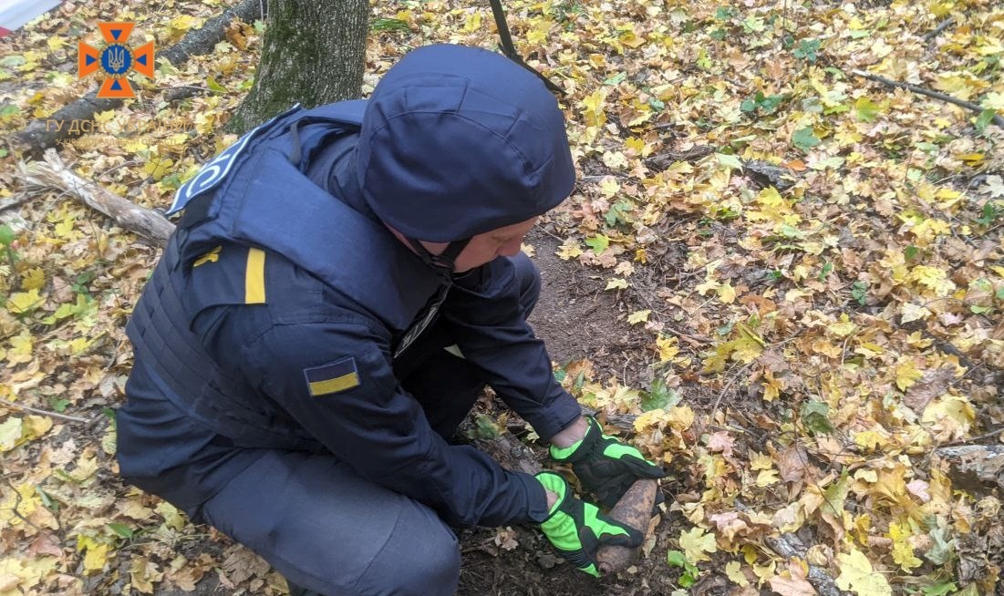 На Кіровоградщині грибники натрапили в лісі на старі міни. ФОТО