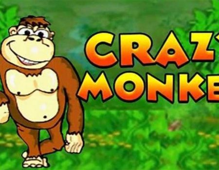 Як правильно грати в слот Crazy Monkey: інструкція