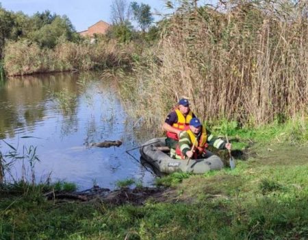 На Кіровоградщині в річці Чорний Ташлик знайшли тіло чоловіка. ФОТО