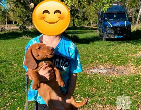 Кропивницькі патрульні знайшли в лісосмузі 8-річного хлопчика, який пішов з дому. ФОТО