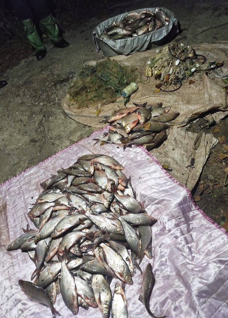 На Кіровоградщині у браконьєра вилучили риби на 600 тисяч гривень. ФОТО