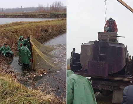 Два водосховища Кіровоградщини поповнили мальком. ФОТО