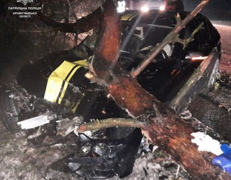 У Кропивницькому водій BMW збив… сосну. ФОТО