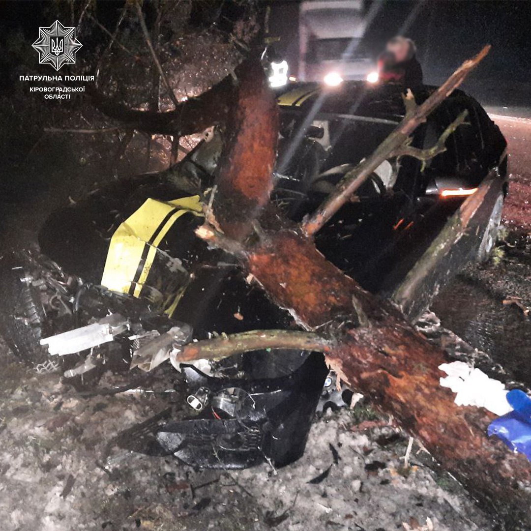 У Кропивницькому водій BMW збив&#8230; сосну. ФОТО