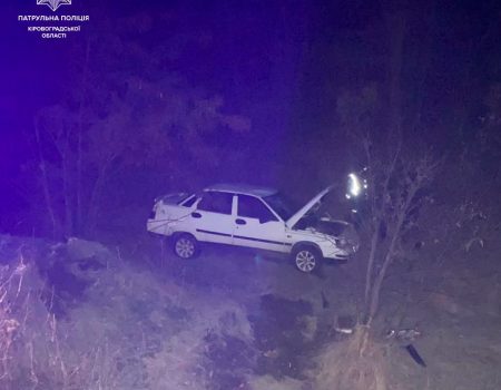На Кіровоградщині п’яна водійка злетіла з траси та врізалася в дерево. ФОТО
