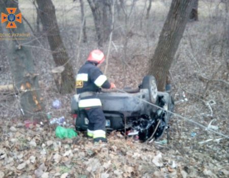 На Кіровоградщині протягом доби дві автівки опинилися в кюветі. ФОТО