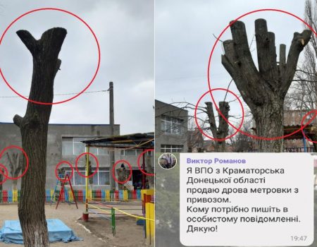 У Кропивницькому завідувачку дитсадка і “благодійника” оштрафують за покалічені дерева. ФОТО