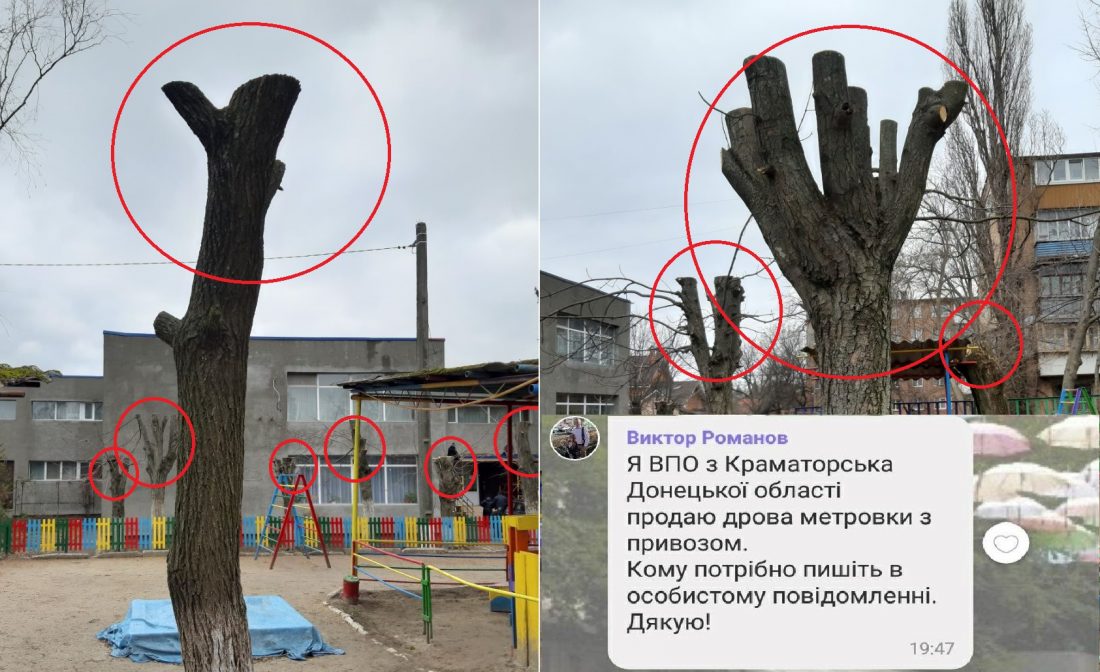 У Кропивницькому завідувачку дитсадка і &#8220;благодійника&#8221; оштрафують за покалічені дерева. ФОТО