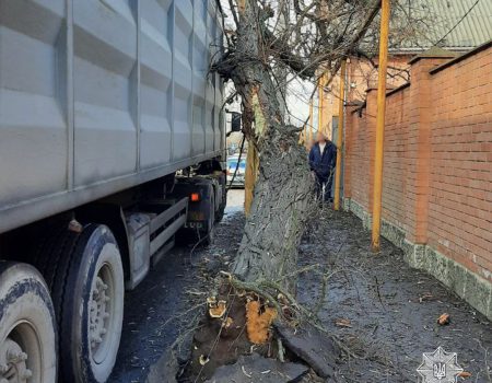 У Кропивницькому вантажівка в’їхала в дерево. ФОТО