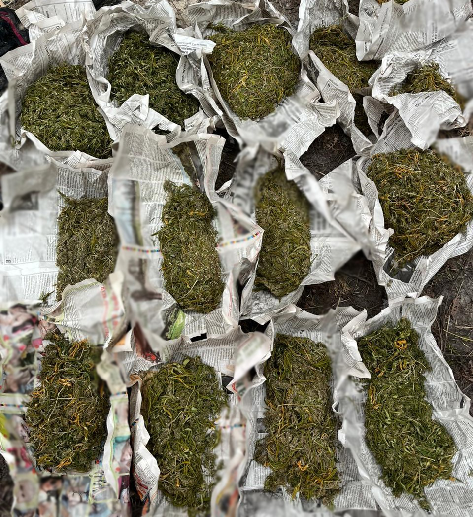 На Кіровоградщині у двох наркоділків вилучили 10 кілограмів канабісу. ФОТО