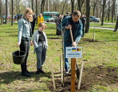 Голова Кіровоградської ОВА закликав висадити дерева на честь переможних битв у цій війні